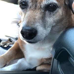 Meet your Posher, Sonya